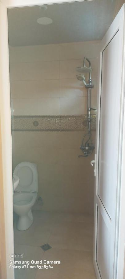 Guest House Sabauri 卡兹贝吉 外观 照片